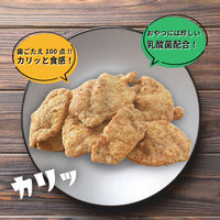 プラスラブ 素材キッチン 大豆のおやつ ザクザクフィレ 国産 70g 1袋 犬用 おやつ