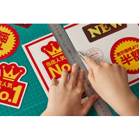 アイリスオーヤマ　ラミネートフィルム　A3サイズ　75μ(ミクロン)　LZ-75A3100　100枚入　1箱