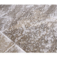 ケルヒャー 3 in 1 ストーンクリーナー 6.295-765.0 1本