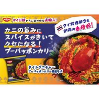 タイシグニチャー プーパッポンカリー風焼そば 1セット（1個×3） 日清食品
