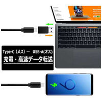 ルーメン USB Type-AオスType-Cメス 変換アダプタ LAD-OG2AMCF 1セット(2個)（直送品）