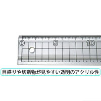 NTカッター カッティングスケール CS-502 1枚（直送品）
