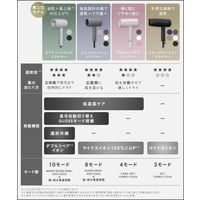 SALONIA（サロニア）　グロッシーケアドライヤー グレー I-ne