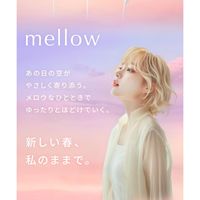 数量限定　SALONIA（サロニア）　スピーディーイオンドライヤー メロウクリームイエロー I-ne