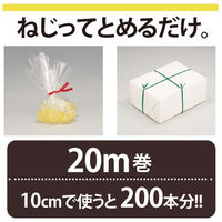 プラス ねじりっこ TF-800BK ブラック TF-800 1個（直送品）