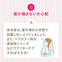 ビューティラボ ホイップヘアカラー アッシュドロップ アッシュ ホーユー