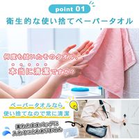 ハンカチいらずのペーパータオル ポケットティッシュサイズ パルプ 10組（2枚重ね）のん・しゅきん10組16P30入 1セット（1個×30）トーヨ