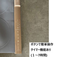 富士商 Felio フードウォーマーセパレート 料理食事保温シリコン製プレート 温度調節 BWR02 1個（直送品）