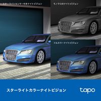 TPーLINK 屋外ネットワークWiFiカメラ パン・チルト IP66防水 Micro SD対応 TAPO C520WS 1個