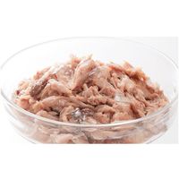 無一物 寒天ゼリータイプ かつお 国産 40g 1セット（1袋×4）はごろもフーズ キャットフード ウェット パウチ