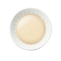 i CARE（アイケア）食物アレルギーケア ささみスープ 国産 35g 1セット（1袋×12）アイシア キャットフード