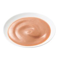 腎活 1歳頃からシニア猫まで まぐろとかつおペースト 国産 40g 1セット（1袋×48）アイシア キャットフード 猫用