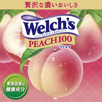アサヒ飲料 Welch's（ウェルチ）ピーチ100 800g 1セット（16本）
