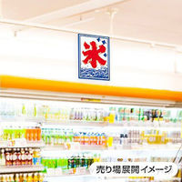 アルファ 氷旗 氷(54×43cm) DJ3-0088 1枚（直送品）