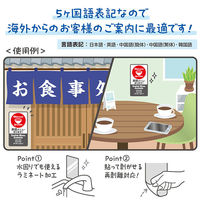 アルファ 5ヶ国語ステッカー 英語メニュー OK-CW00031 1枚（直送品）