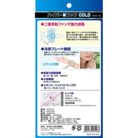 TO-PLAN ハイパーWファンCOLD TKTCー07 1台