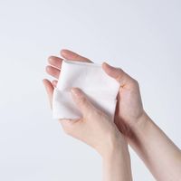 溝端紙工印刷 IKONIH ヒノキウエットタオル 平型 1箱（800枚：50枚入×16袋）