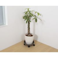 【園芸用品】グリーンパル 鉢受プレート29型 モスブラウン 4976131912818 1個