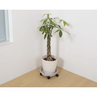 【園芸用品】グリーンパル 鉢受プレート29型 モカアイボリー 4976131912801 1個