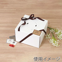 サガシキ ケーキ箱 白無地デコ箱6号 H150 4582673770283 1セット(1袋(25枚入)×2)（直送品）