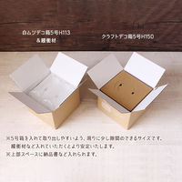 サガシキ ダンボール 宅配用60サイズ用 4582673770849 1セット(1袋(20枚入)×4)（直送品）