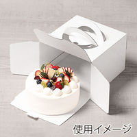 サガシキ 白ムジデコ箱5号 H130 4582673771853 1セット(1袋(25枚入)×12)（直送品）