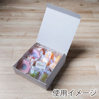 サガシキ 合掌ガゼット袋 GT No18 透明透明 4582673774038 1セット(1袋(100枚入)×5)（直送品）