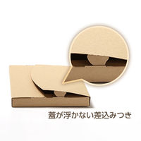 サガシキ メール便ケース ジッパー付 A4 3cm対応 4582673774915 1セット(50枚入)（直送品）