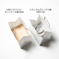 サガシキ 紙袋 Mマットホワイト 4582673775059 1セット(100枚入)（直送品）