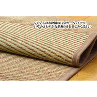 イケヒコ DXパルコ 花ござ 江戸間3畳 2610×1740mm ブラウン 1030320060302 1枚（直送品）