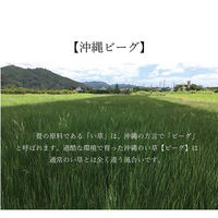 イケヒコ 沖縄ビーグ い草ラグ 2000×1280mm ネイビー 1050681191703 1枚（直送品）