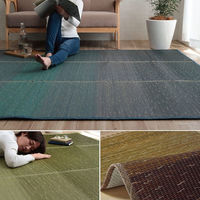 イケヒコ クリア い草ラグ 3000×1900mm オレンジ 1060470204804 1枚（直送品）