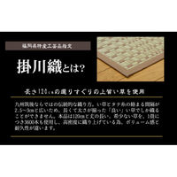 イケヒコ 奥丹後 花ござ 本間8畳 3820×3820mm ベージュ 1080110021502 1枚（直送品）