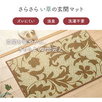 イケヒコ ネム 玄関マット 900×600mm ベージュ 1081980024604 1枚（直送品）
