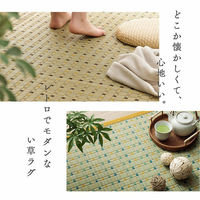 イケヒコ 小夏 い草カーペット 江戸間4.5畳 2610×2610mm レッド 1082090240502 1枚（直送品）