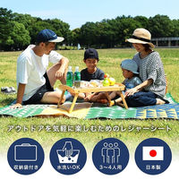 イケヒコ ブロード ポリプロピレンカーペット 江戸間2畳 1740×1740mm レッド 1090260243604 1枚（直送品）