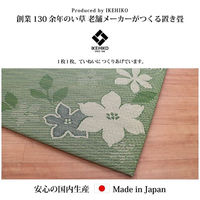 イケヒコ デザインリーフ 置き畳 820×820mm 1110100010213 1枚（直送品）