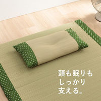 イケヒコ・コーポレーション 詩織 枕 イエロー 30×50cm 1122950296301 1個（直送品）