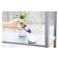 グローバルプロダクトプランニング アロマエッセンスブルーラベルミント 4517161040944 1セット(138個)（直送品）