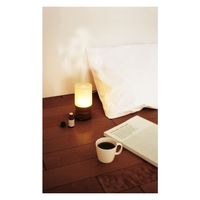 GPP アロマランプディフューザーVer.3 ナチュラルブラウン 4517161122756 1セット(12個)（直送品）