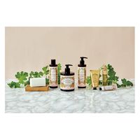 パニエデサンス アブソリュート ボディーミルク ローズゼラニウム 250ml 4517161160024 1セット(30個)（直送品）