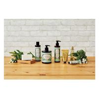 パニエデサンス アブソリュート シャワージェル ジャスミン 250ml 4517161164886 1セット(24個)（直送品）