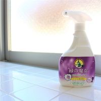 ミマスクリーンケア 緑の魔女 泡スプレー トイレ用 450ml 4902875170832 1セット(20個)（直送品）