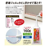 アイメディア カビ取り剤 160g 業務用スカッとカビ取りジェル 403877 1個（直送品）
