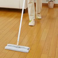 アイメディア フローリングシート 重曹 30枚入 408084 1個（直送品）