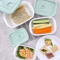 岩崎工業 保存容器 940ml スヌーピー フラップ付コンテナ 2個セット 454118 1個（直送品）