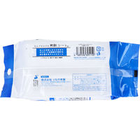 iiもの本舗 ムテキノウェットティシュ ノンアルコールタイプ 10枚入×3個パック 4589596695150 1袋(10枚×3個入)（直送品）