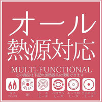パール金属 ファストクック 2層鋼ダイヤモンドコート極深フライパン28cm HB-6749 4549308567496 1個（直送品）