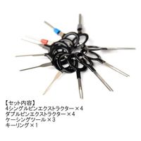 IWISS ピン抜き工具(11点セット) IWS-11TRT-SY 1セット(11点入)（直送品）