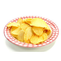 純国産ポテトチップスうすしお味 55g 4個 ノースカラーズ スナック菓子 ポテトチップス